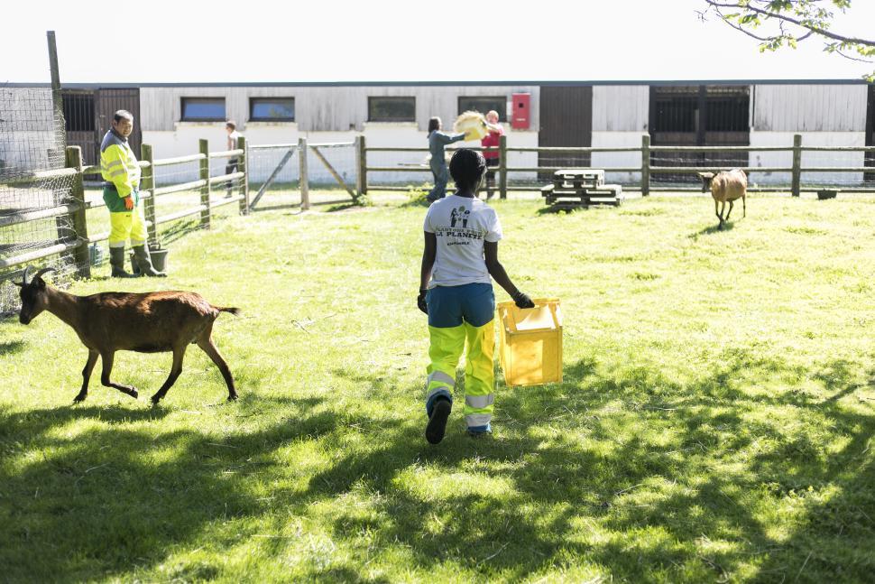 Quand les animaux aident à lutter contre l’isolement des personnes handicapées Quand les animaux aident à lutter contre l’isolement des personnes handicapées