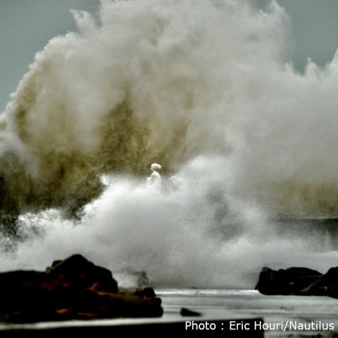 Le tempête Ciaran sur le port du Havre