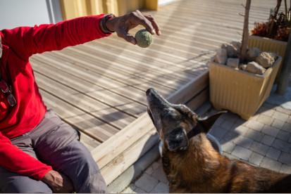 Francis, accueilli avec son chien, à Marseille dans un établissement de l'Armée du Salut