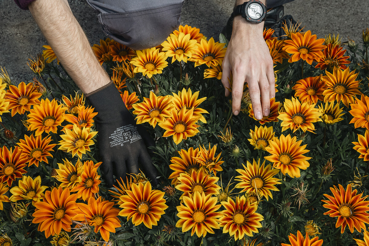 Domaine du Château d'Auvilliers